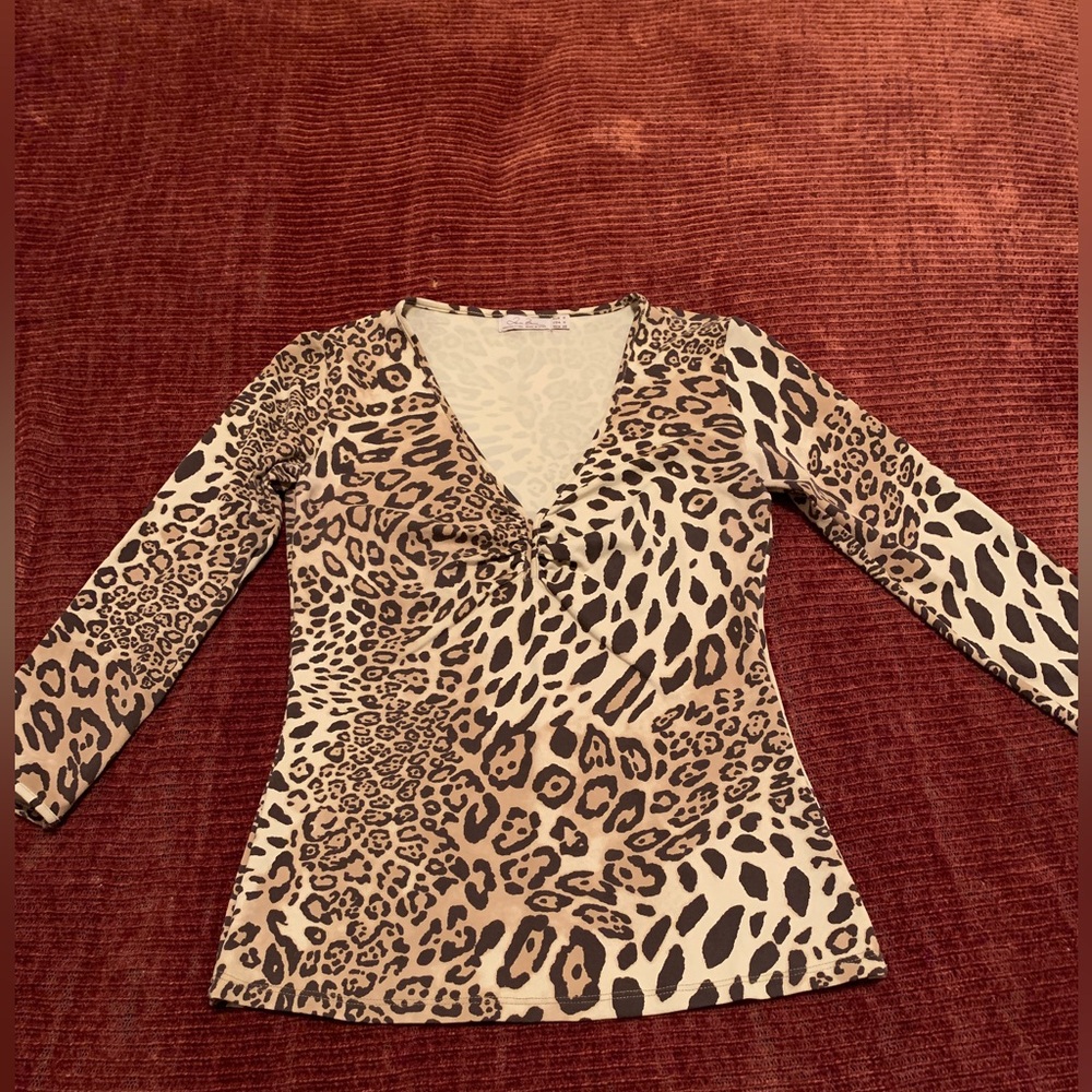 Brown Leopard Animal Print V-Neck Top